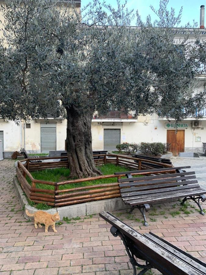 B&B Il Vicoletto Olevano sul Tusciano Екстер'єр фото